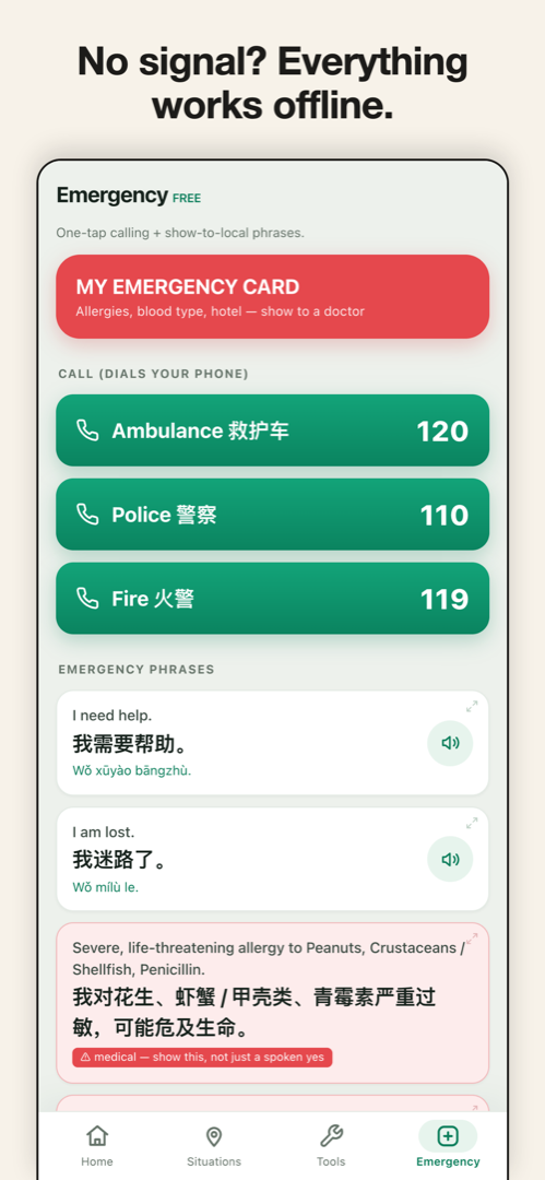App screen: offline medical card with allergies and blood type in Chinese